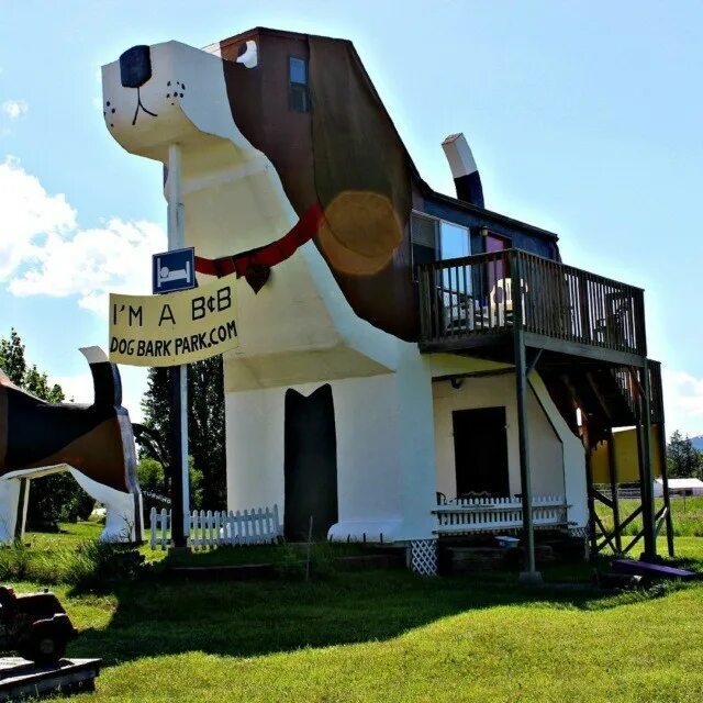 Гостиница внутри собаки dog bark park inn. Dog bark park. Dog bark park inn сша, айдахо, коттонвуд. Dog bark park. Гостиница внутри собаки dog bark park inn.