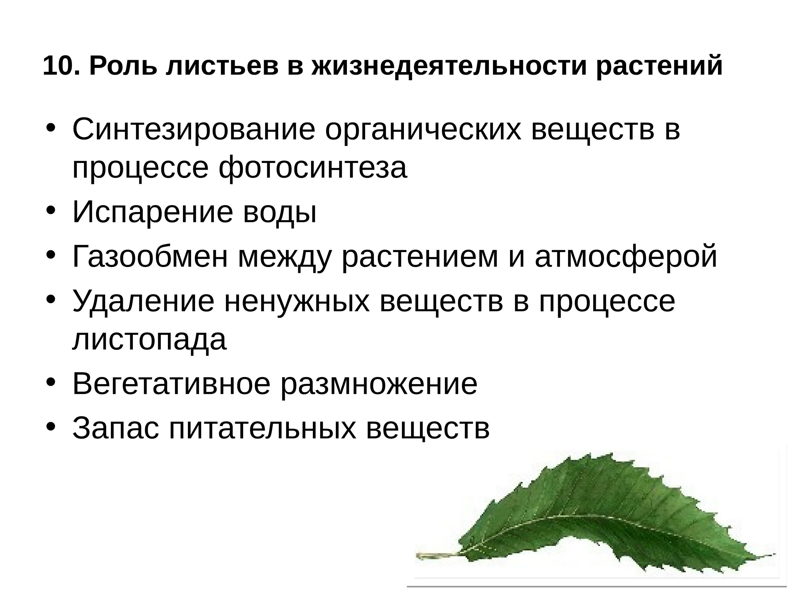 Жизнедеятельность растений 6 класс биология контрольная работа. Жизнедеятельность растений. Процессы жизнедеятельности растений 6 класс таблица. Процессы жизнедеятельности растений 5 класс. Жизнедеятельность растений 6 класс.