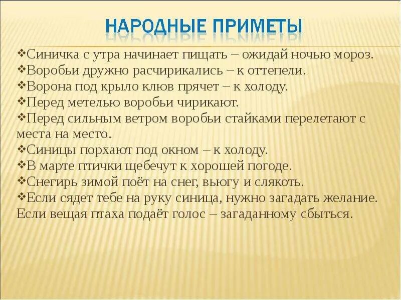 Приметы синички. Синица приметы. Приметы про синичек. Синицы погода народные приметы. Синичка с утра начинает пищать народная.