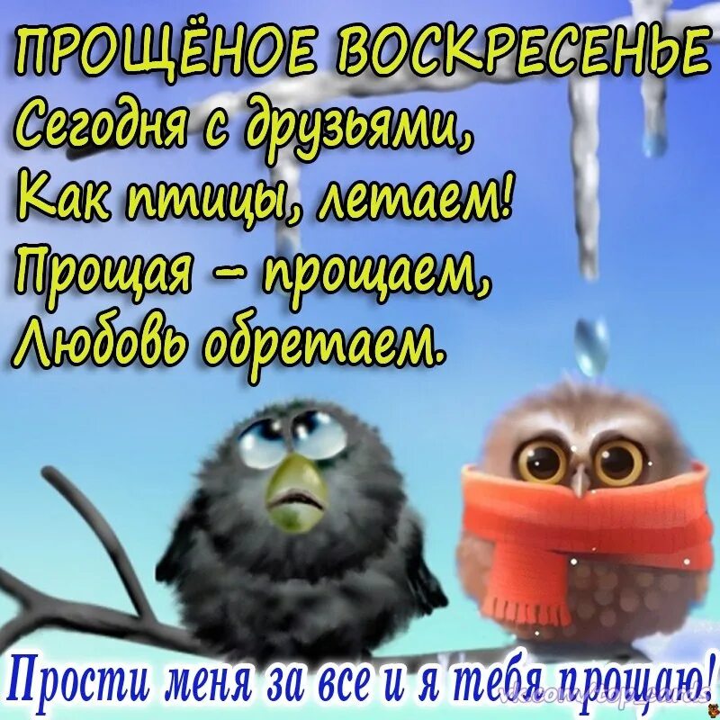 Прощеное воскресенье картинки приколы. Прощенное воскресенье прикольные. Прощенное воскресенье картинки. Прощеное воскресенье прикольное. Открытки с прощённым воскресеньем прикольные.