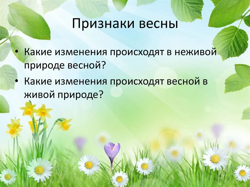 Живая природа весной 2 класс. Признаки неживой природы весной. Изменения в живой и неживой природе весной.