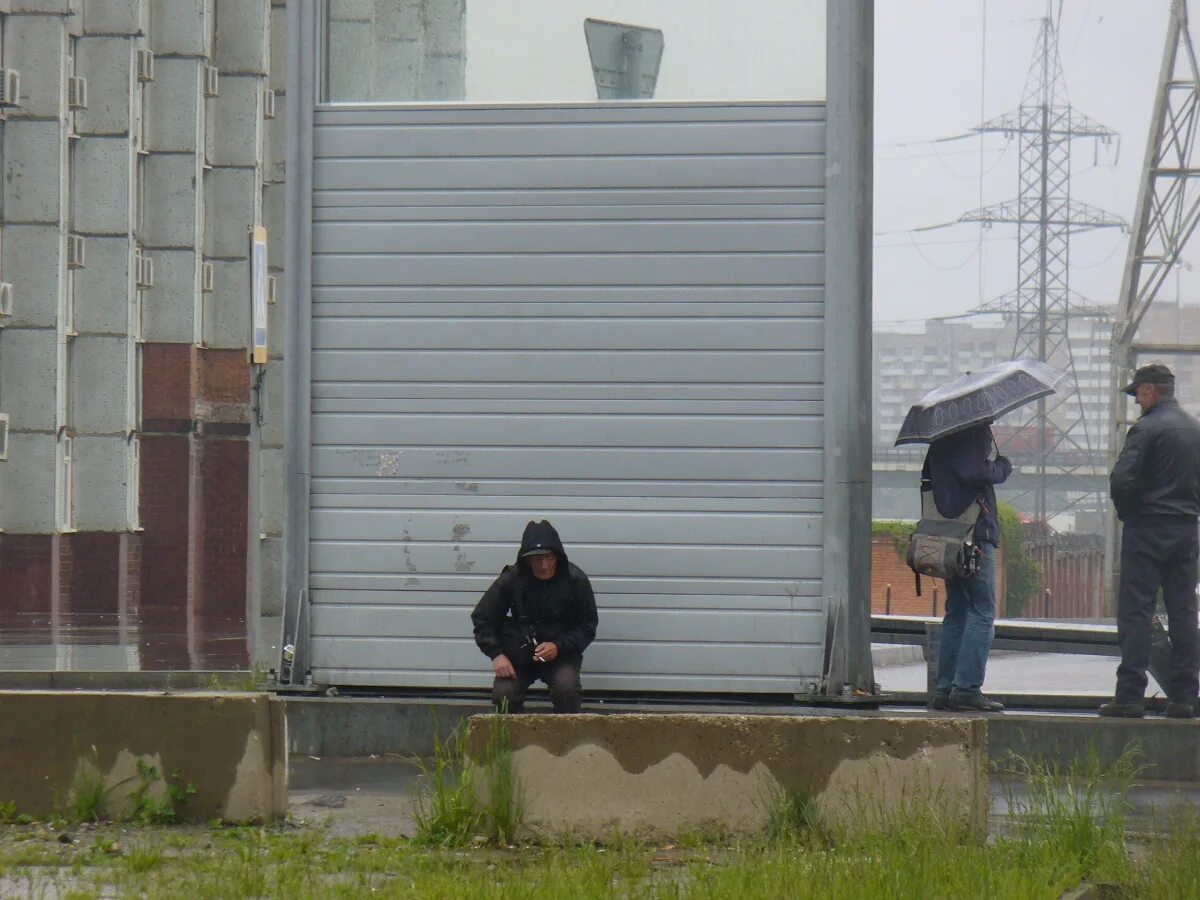 На сколько лет закрыли. Гастарбайтеры на Ярославке. Рынок гастарбайтеров на Ярославке. Гастарбайтеры на Ярославском шоссе. Рынок рабов на Ярославском шоссе.