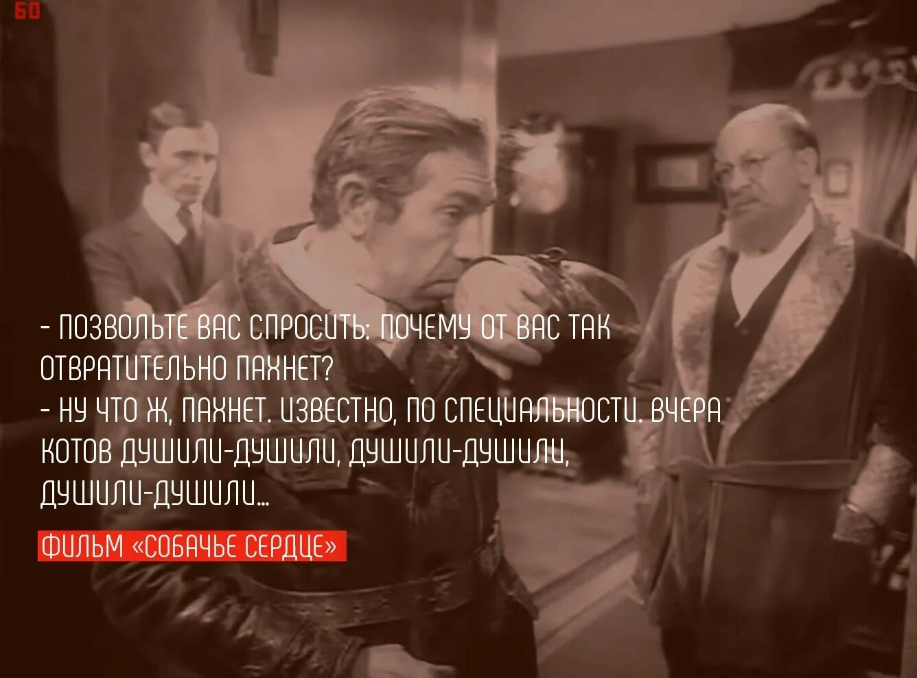 Шариков цитаты из текста. Цитаты из собачьего сердца. высказывания из собачьего сердца. собачье сердце цитаты. цитаты из собачьего сердч.