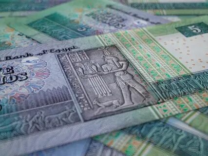 1000 египетских фунтов