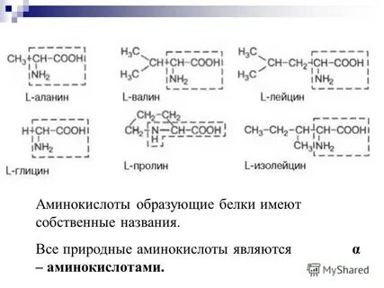 Глицин аланин