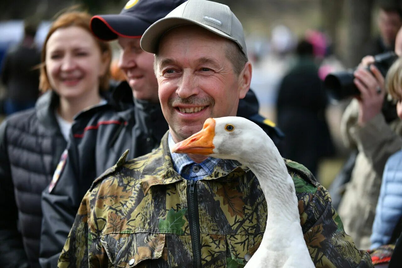 Гусиные бега