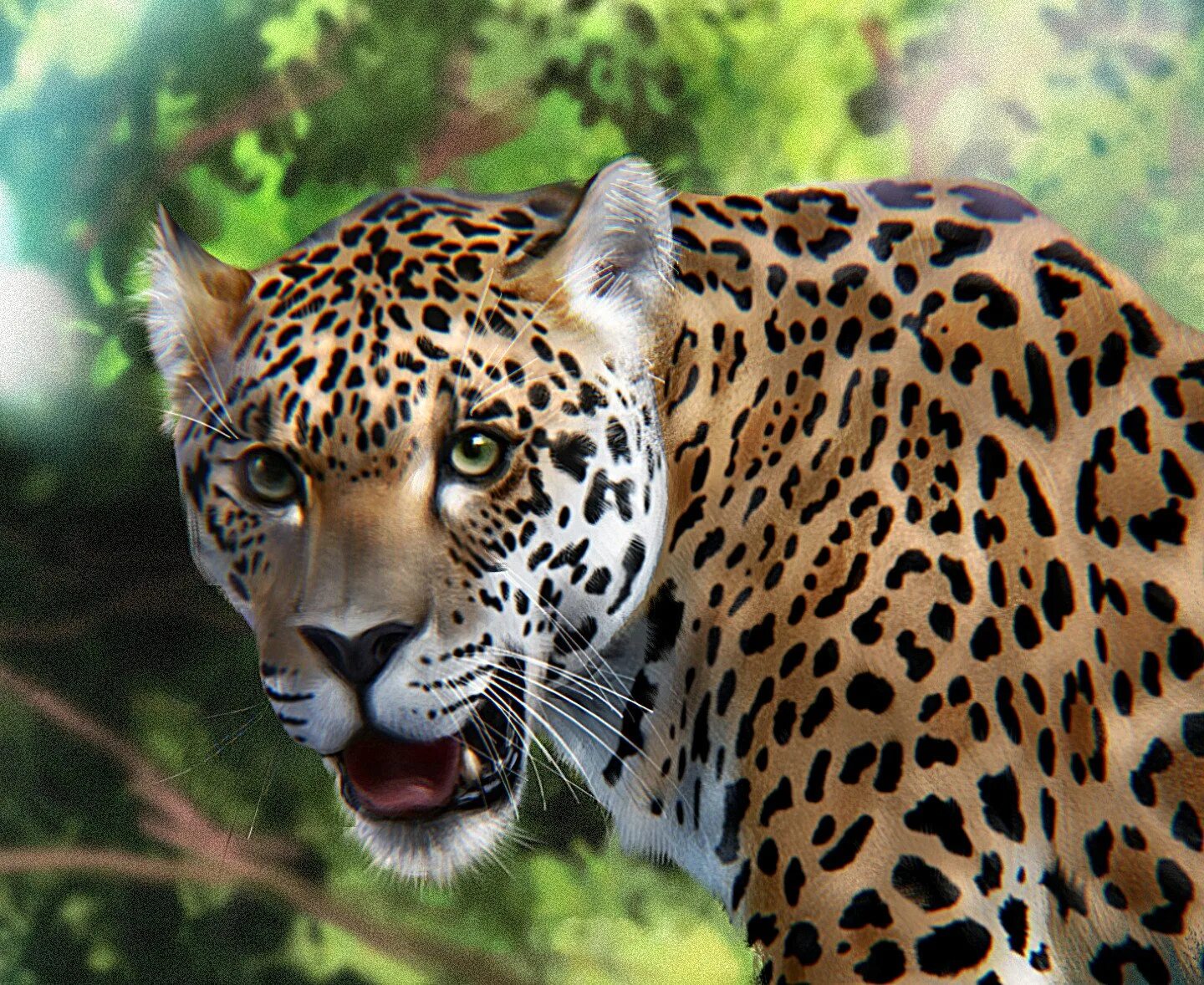 Всемирный день ягуара картинки. Why leopard has spots. День ягуара 29 ноября картинки. День 11 июня всемирный день ягуара. Ягуар с днем рождения фото.