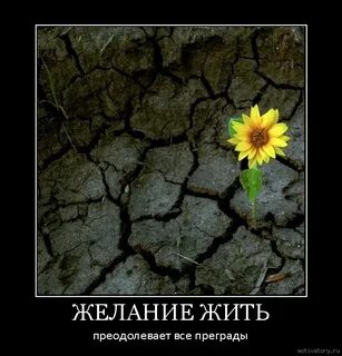 Давай сделаем это в душе