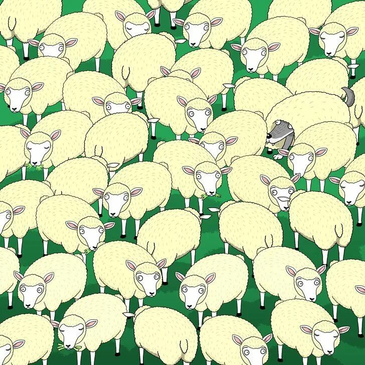 Тест пон. Найди Волков среди овец. Найди собаку среди овец. Найди волка на картинке среди овец. Волк среди овечек.