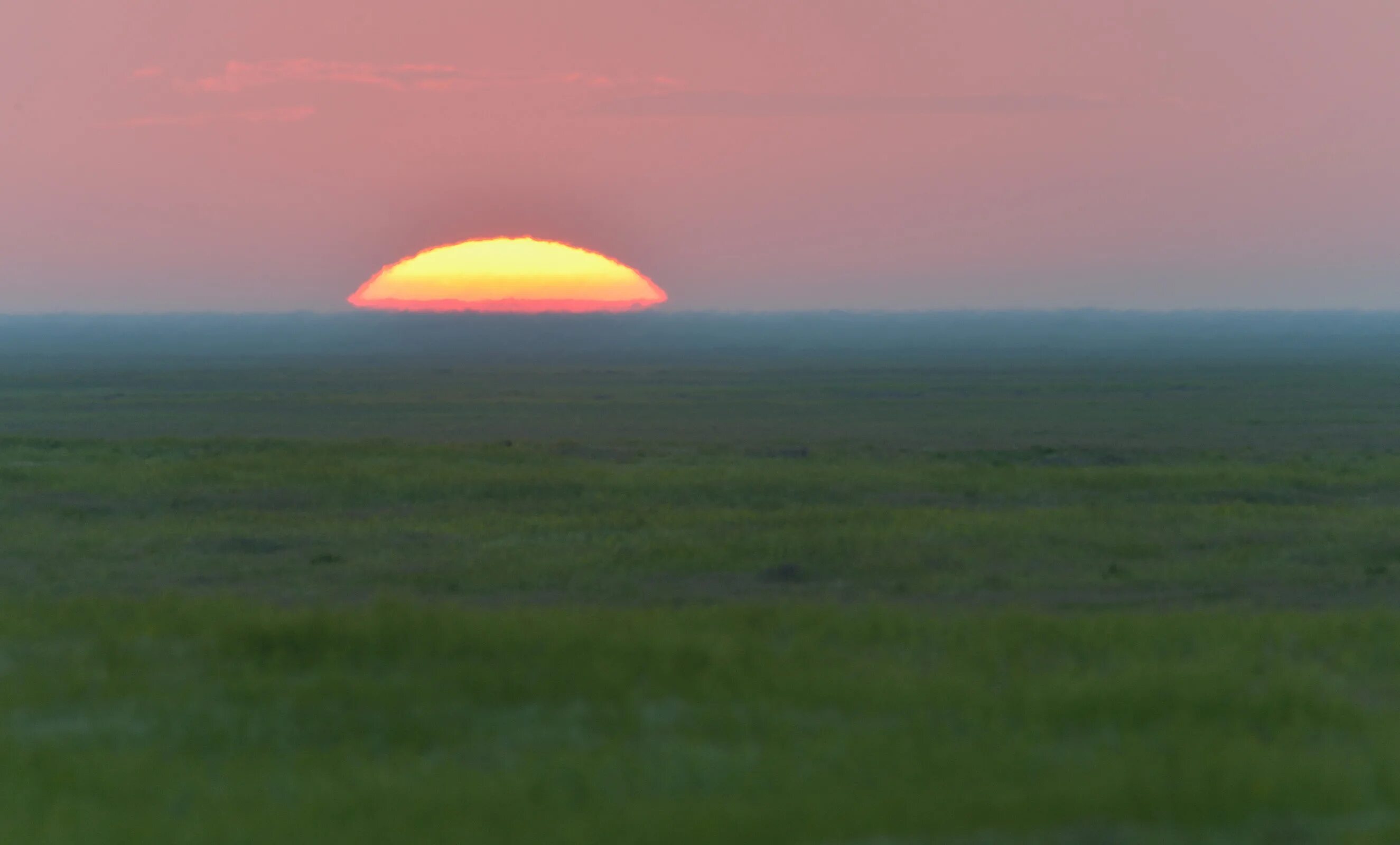 восход калмыкия. одинокий тополь в калмыкии. элиста калмыкия природа озеро. калмыкия эстетика. оренбург горизонт степь.