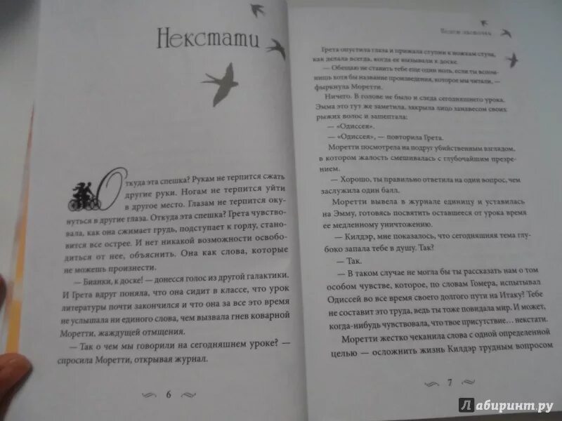 Краткое содержание рейс ласточки. Полет ласточки книга шерстобитова. ласточка книга.