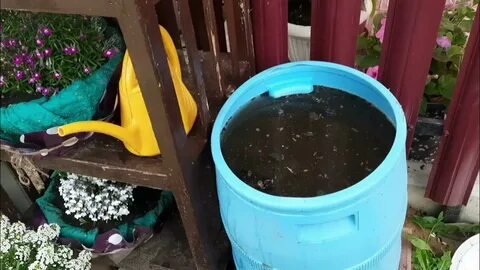 Грунт для петунии в кашпо