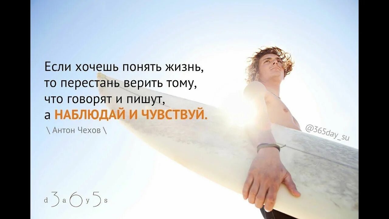Как понять то что хочешь. Если хочешь понять жизнь. если хочешь понять жизнь то перестань верить тому. цитата дня. цитаты про понимание.