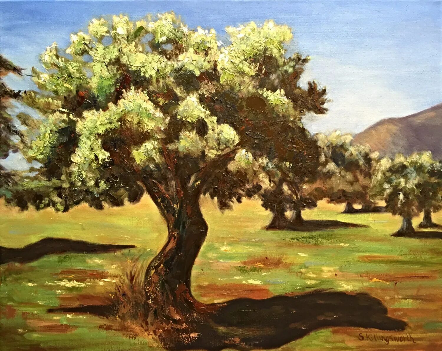 Salt tree