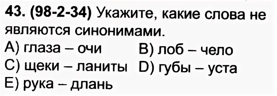 Чело лоб ланиты щеки