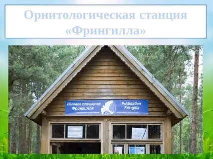 Экскурсия на орнитологическую станцию