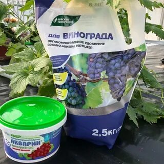 5 кг винограда
