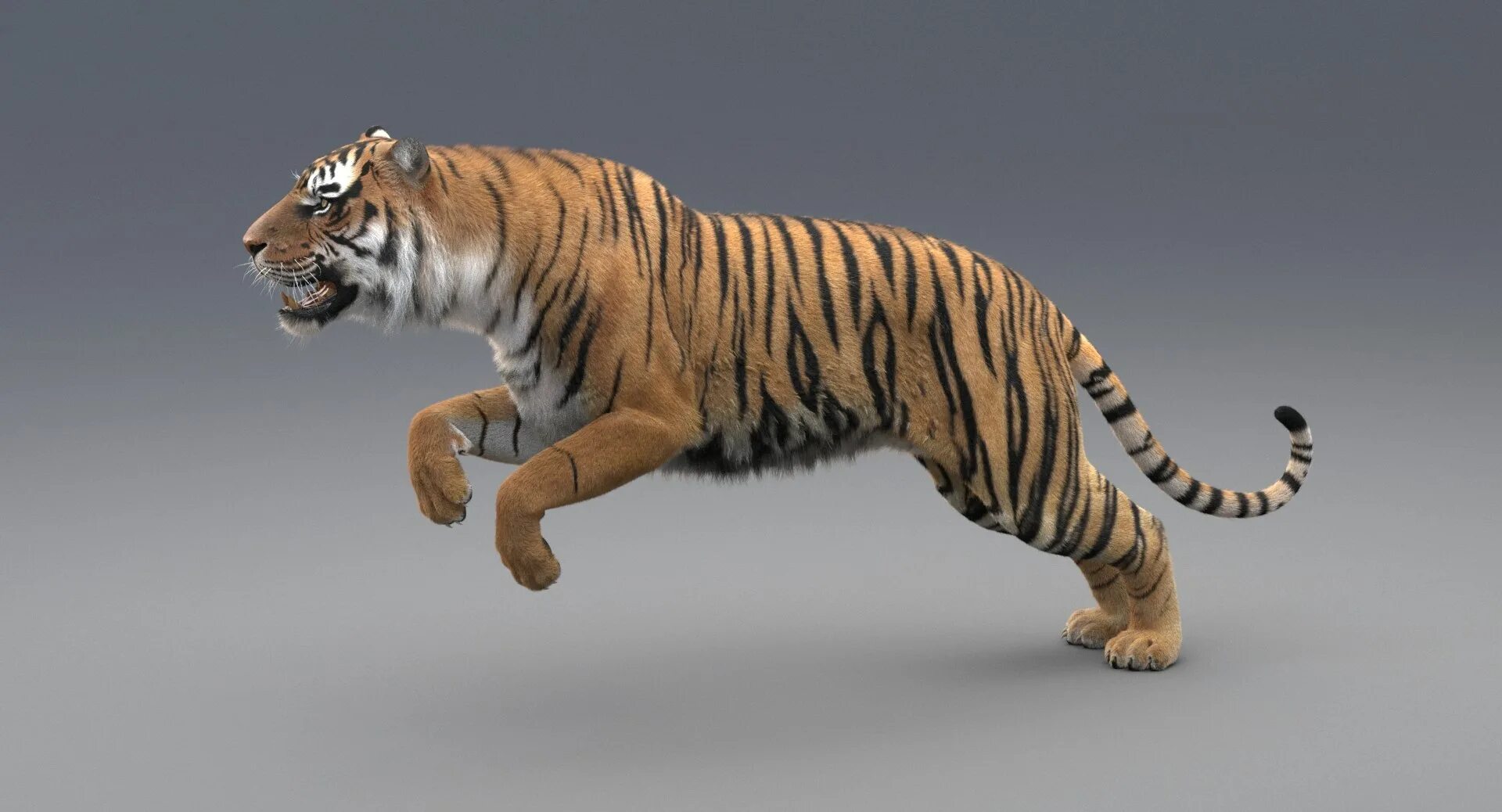 Тайгер 3. Тайгер Тайгер 3д. Тигр 3 Tiger 3. Новые модели тигр