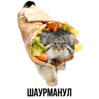 Батутка шаурмуха тигриб