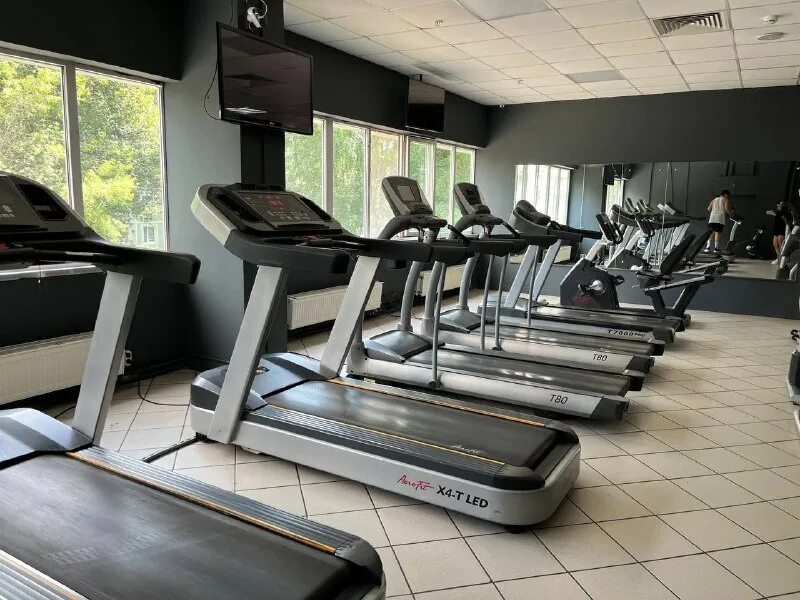 максимум отрадная