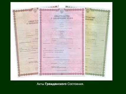 Союз зарегистрированный в органах загса