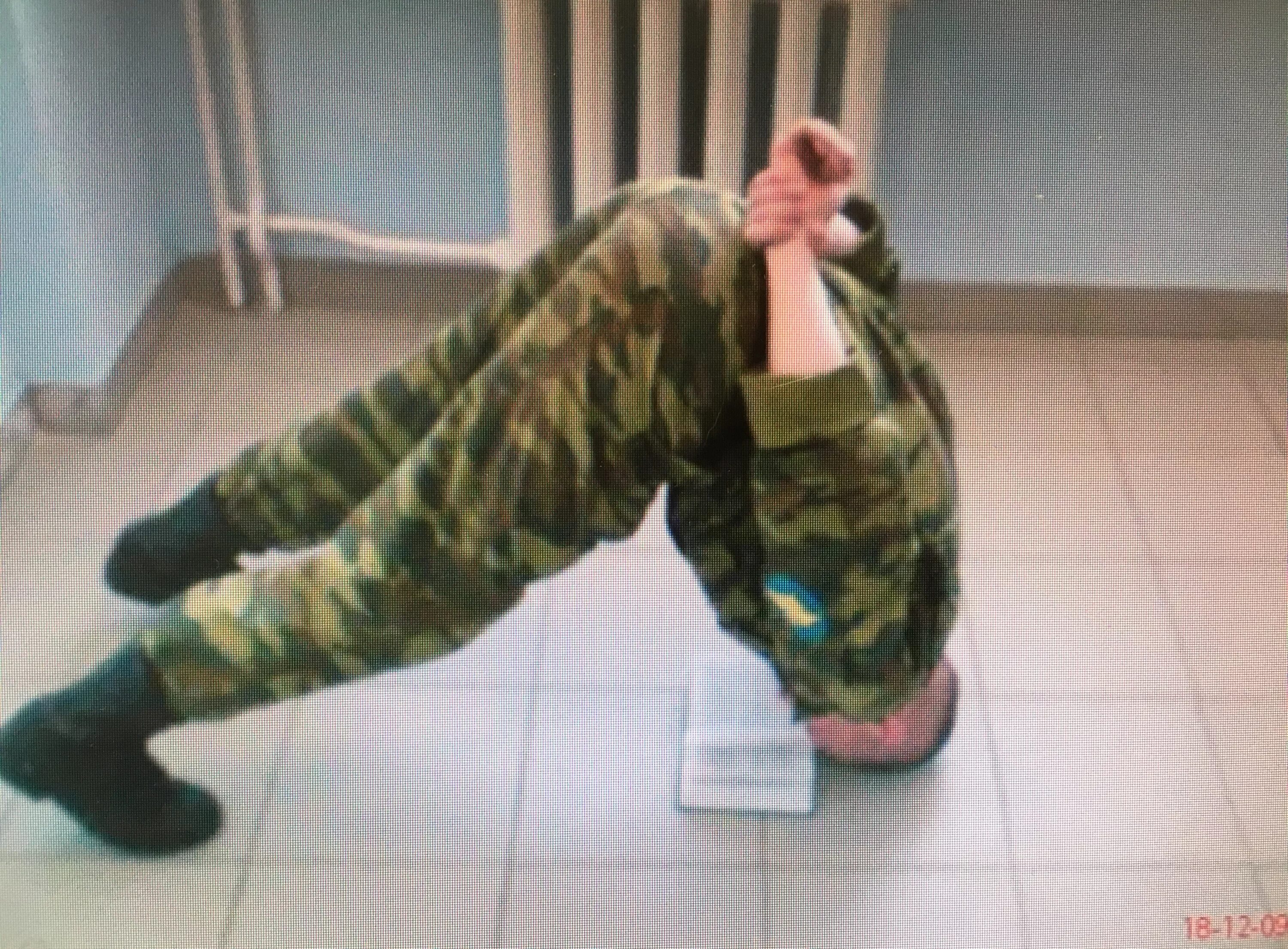 Братский хват в армии. Встать в полтора. Встать в полтора. Военный отжимается. Стойка полтора в армии.