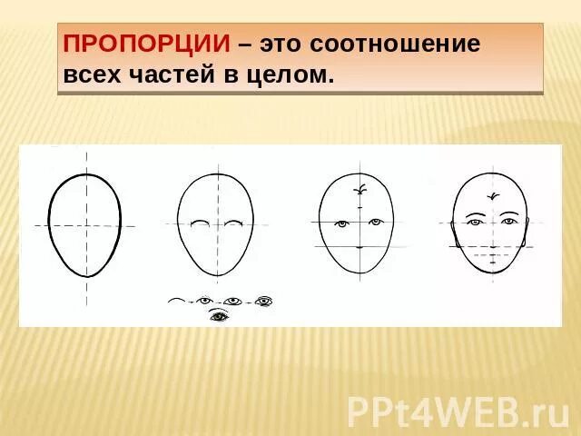 Соотношение составных. Пропорция. соотношение пропорций. пропорционирование. презентация портрет в профиль 6 класс.