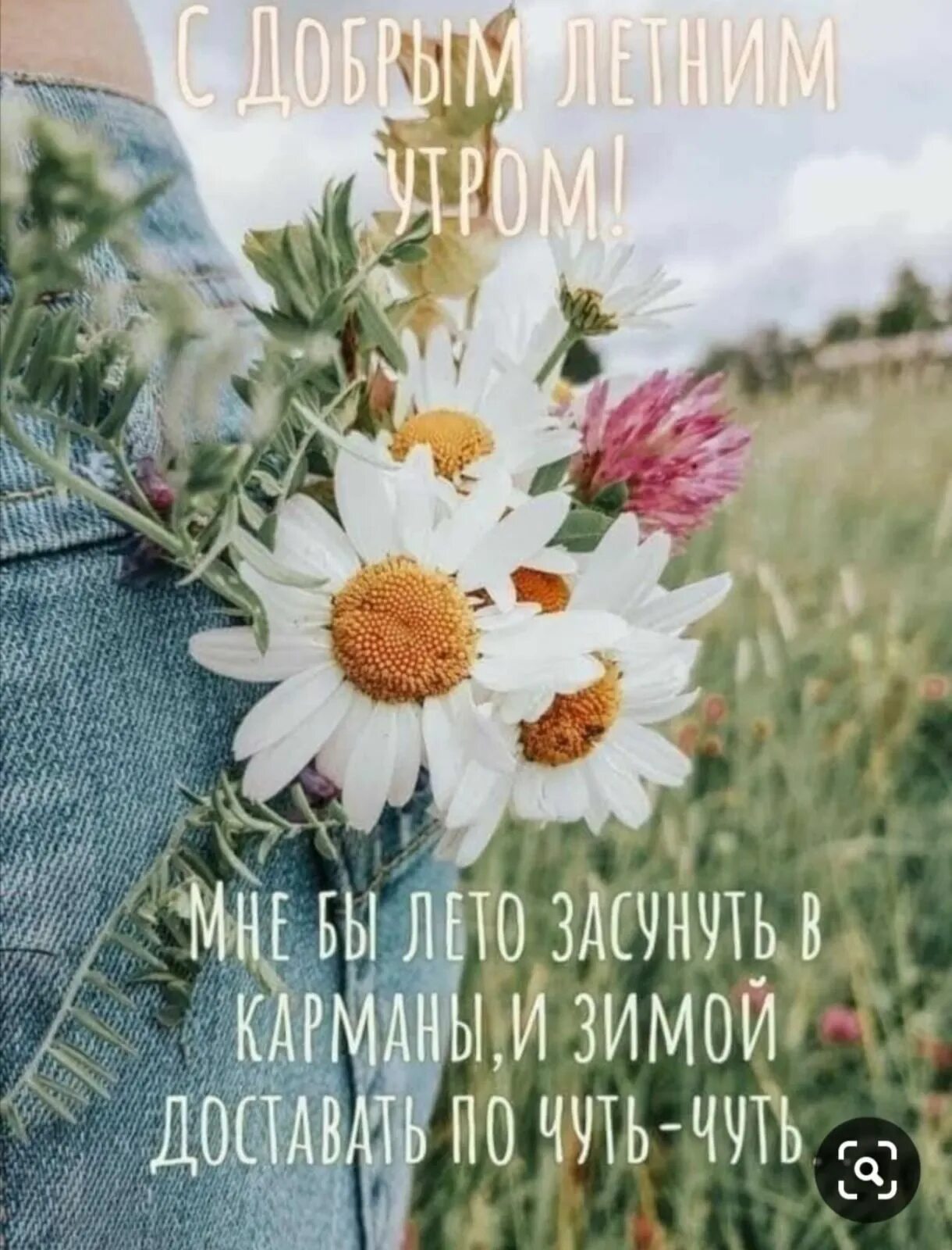 Доброе летнее утро афоризмы. Доброе летнее утро. доброе августовское утро. открытки с летним утром.