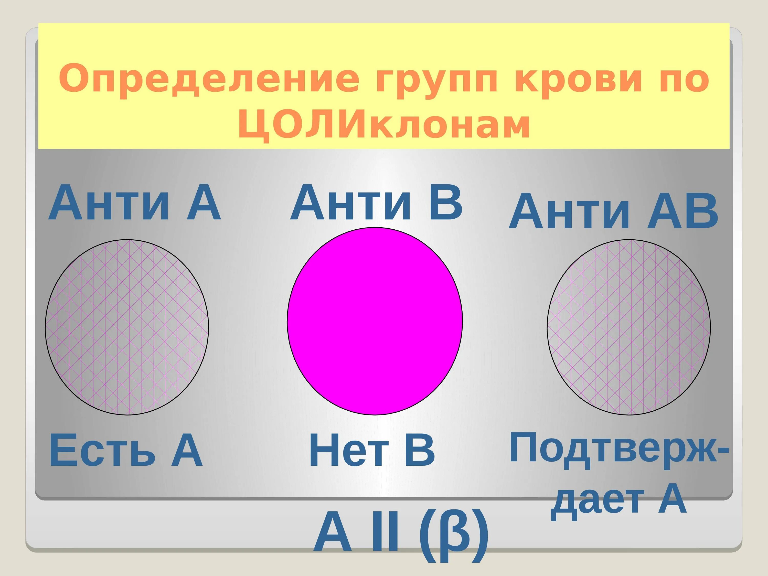 Определите группу крови тест. Определение группы крови. Определение группы крови как. Чашка для определения группы крови. Определение групп крови по стандартным сывороткам.