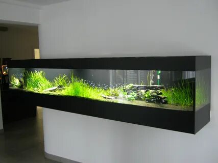 Fish tank myg100
