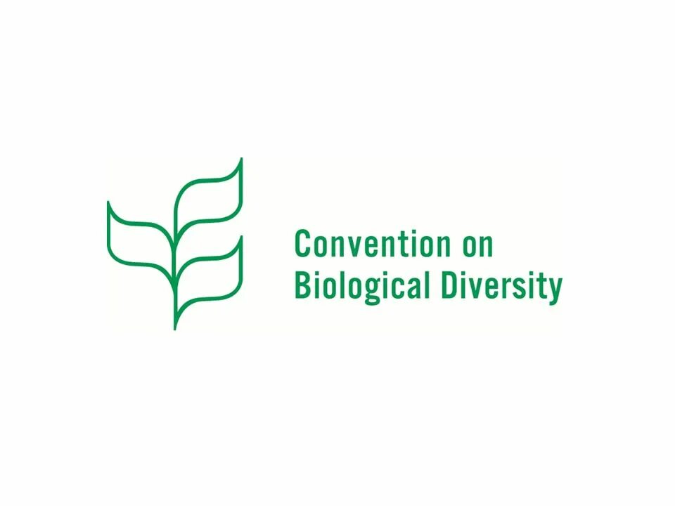 Конвенция о биологическом разнообразии россия. Loss of Biological diversity. Biological diversity.