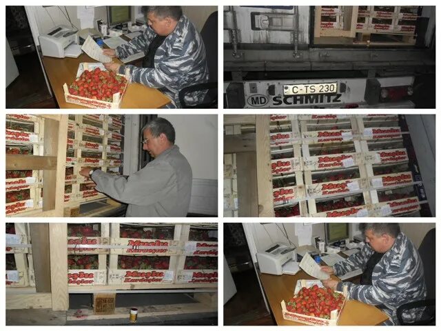 Клинцы сервис вулкан телефон. Клинцы бизнес центр. Клинцы сервис вулкан телефон. Магазин мир клинцы. Главная площадь г клинцы.