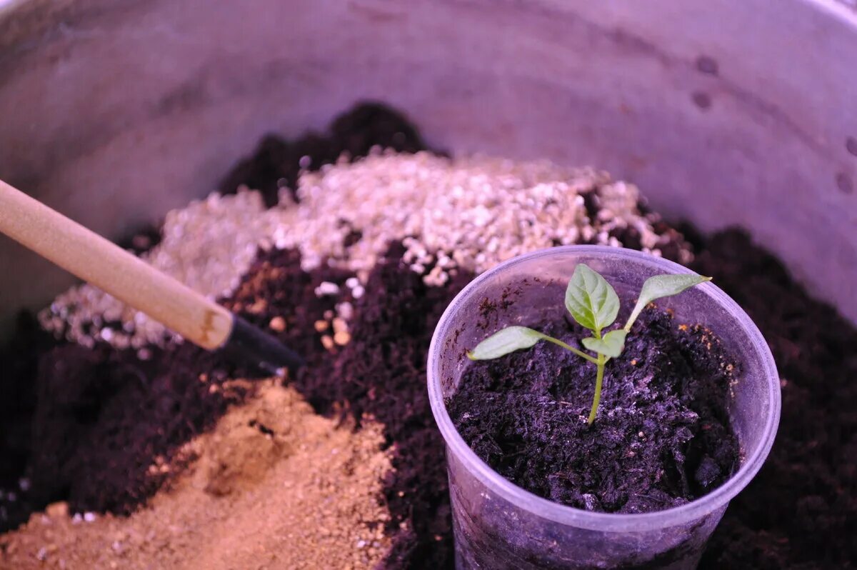 Торфогрунт для рассады. Как сделать землю для рассады. Почвосмеси для рассады. Как сделать землю для рассады. Подготовка грунта для рассады.