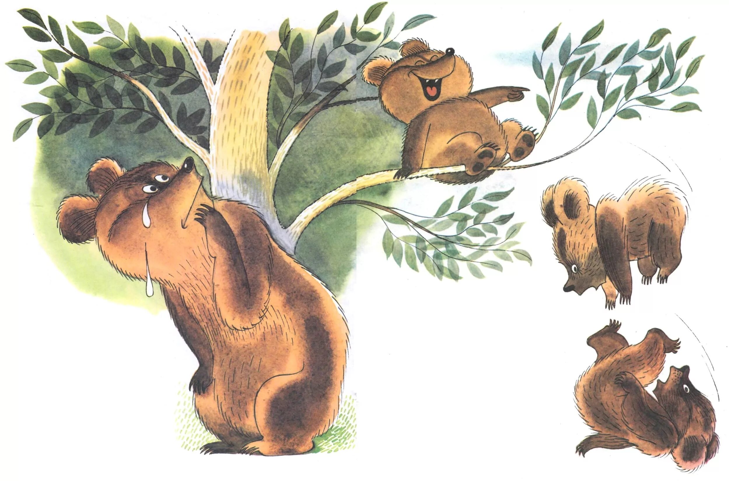 Медвежонок-невежа агния барто. Барто а. Агния барто стихи медвежонок невежа. "медвежонок-невежа". Агния барто стих про медведя.