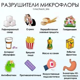 Продукты улучшающие работу кишечника