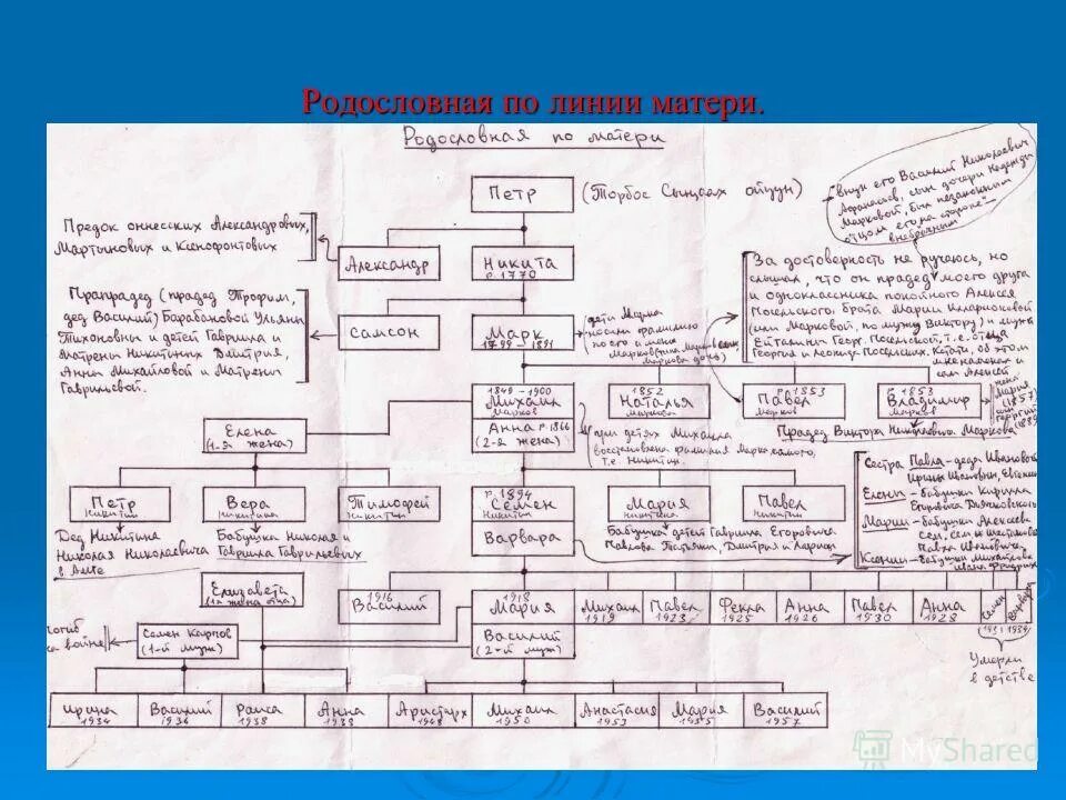 генеалогическое древо рода. генеалогическая изучает что. родословная генетическая дерево. александр сергеевич пушкин родословная. родословное древо.
