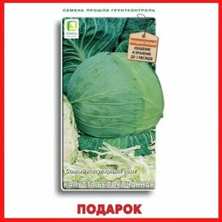 Капуста подарок