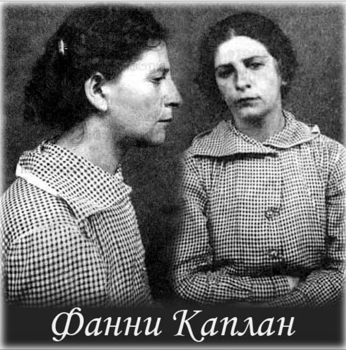 пани каплан