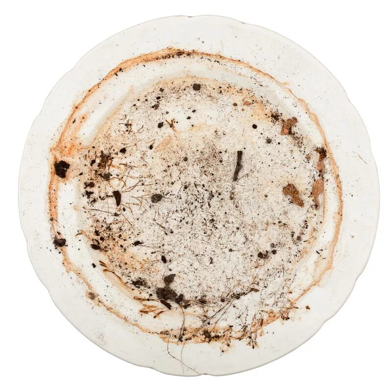 Грязная тарелка с остатками еды. Грязная тарелка на белом фоне. Грязная тарелка вид сверху. Блюдце грязное. Блюдце грязное.