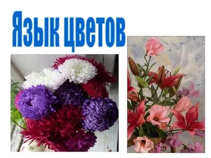 Язык цветов фото