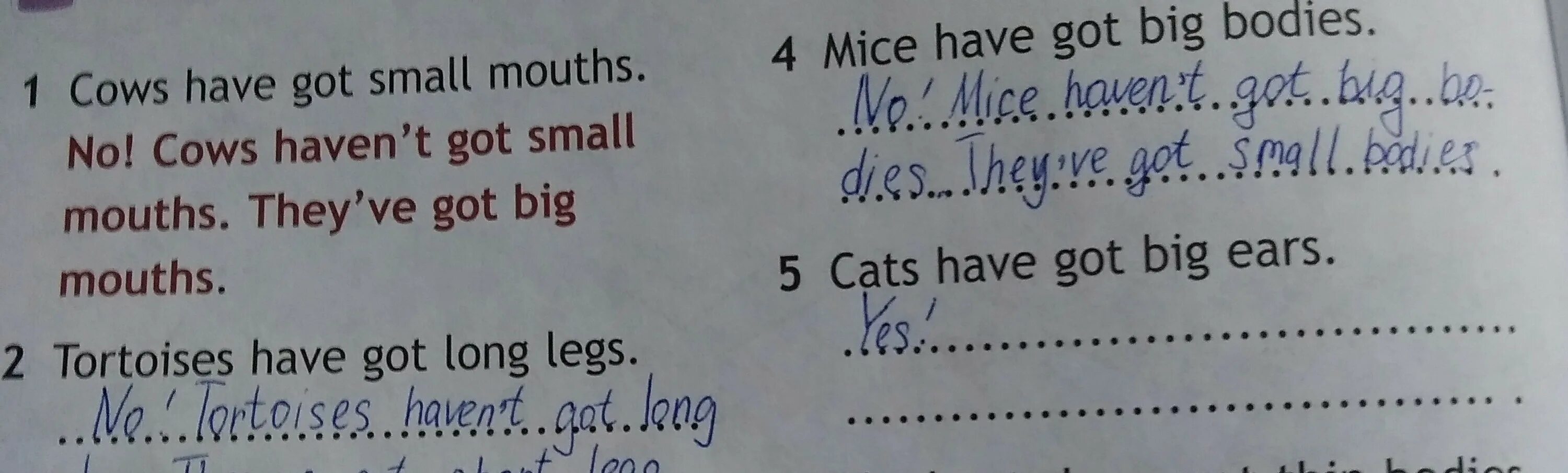 Read and коррект. Read and correct 3 класс. Read and correct как делать задания. Cows have got или has got long Tails.