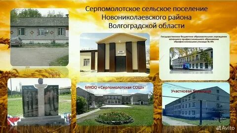 Погода в купаве новониколаевский