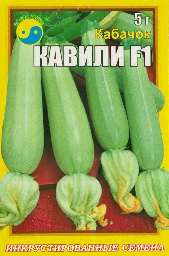 Кустовой кабачок в открытом. Кабачок кавили f1 описание. кабачок сорт кавили. кабачок кавили урожайность. гибрид кавили кабачок.