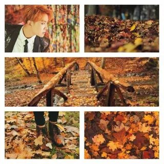 Falls bts autumn BTS's RM. 