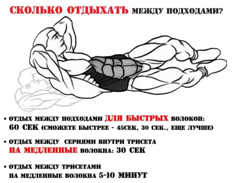 Сколько человек должен отдыхать. Отдых между подходами. сколько нужно отдыхать между подходами. сколько отдыхать между тренировками. перерывы между подходами в тренировке.