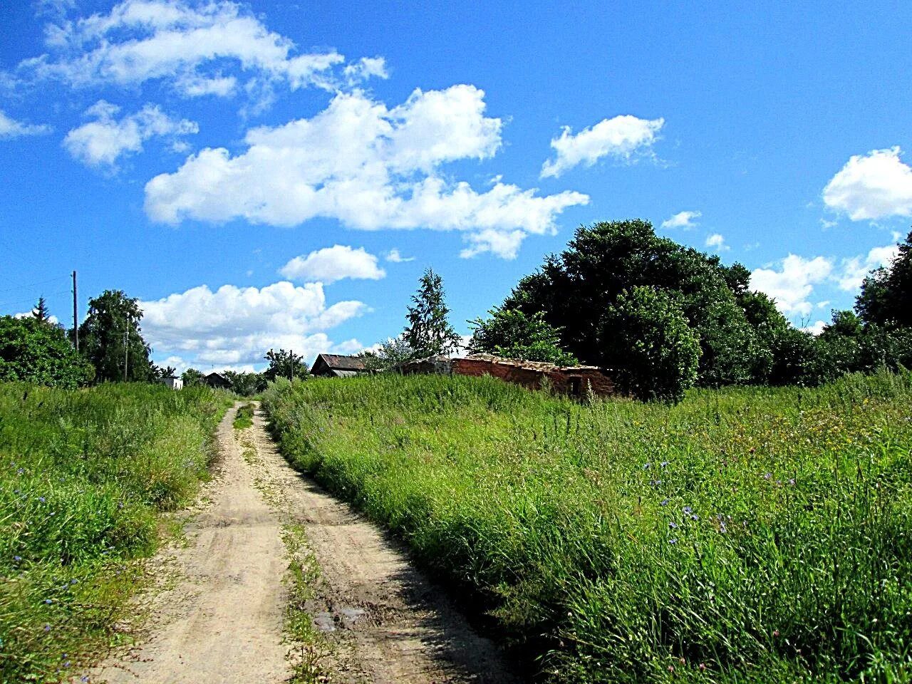 деревня кошкино