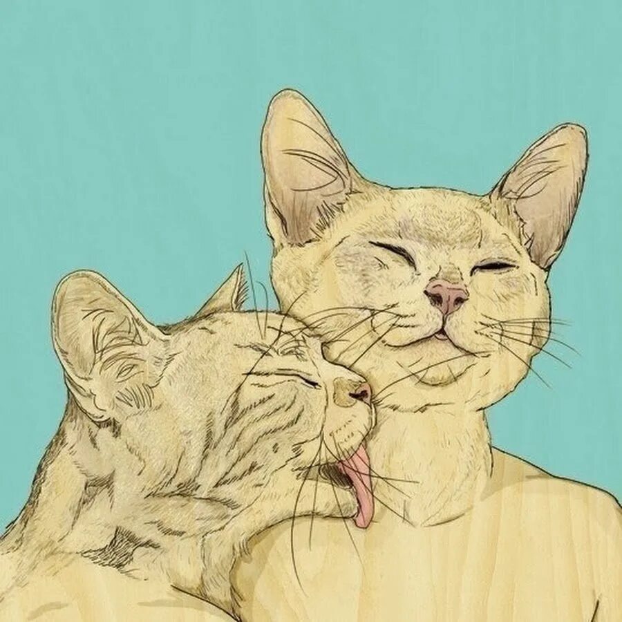Котики любовь. Кот арт. Два кота арт. Кошачья любовь. Муж кису