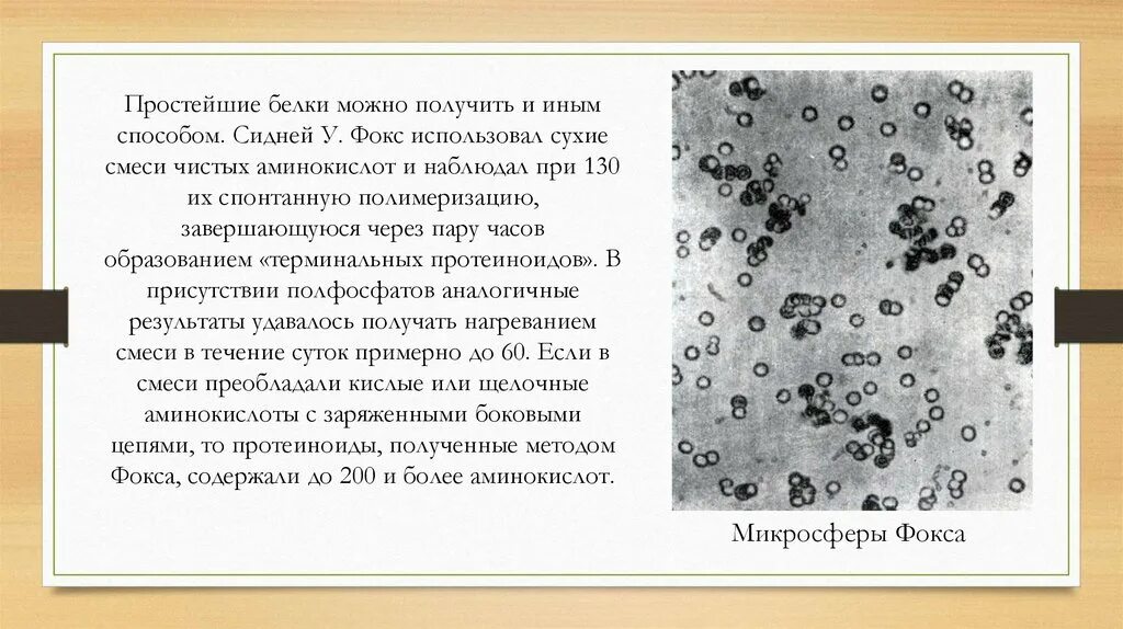 Микросферы Фокса. Опыт Фокса. Эксперимент Фокса биология. Работы Фокса биология. Образование коацерватов в воде