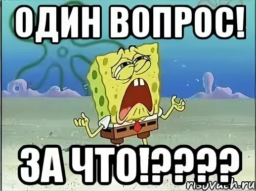 Не по одному вопросу