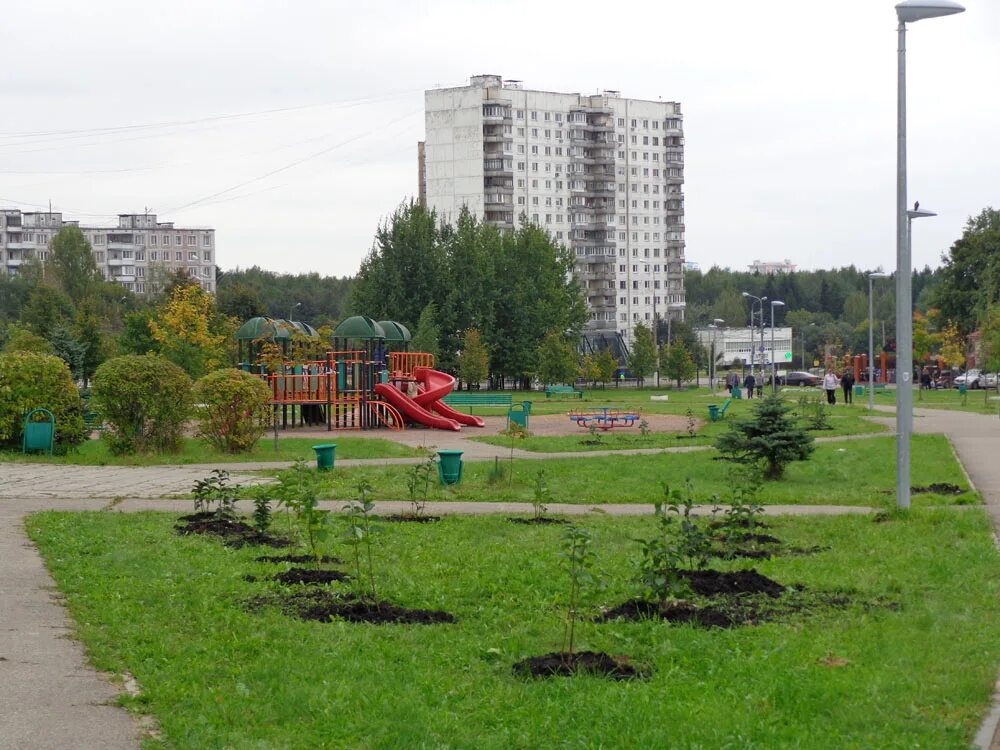 Парк 30-летия района Ясенево Ясенево. Район Ясенево Ясеневский лесопарк. Новоясеневский проспект 38к1. Парк Ясенево в Москве. Квартира москва метро ясенево